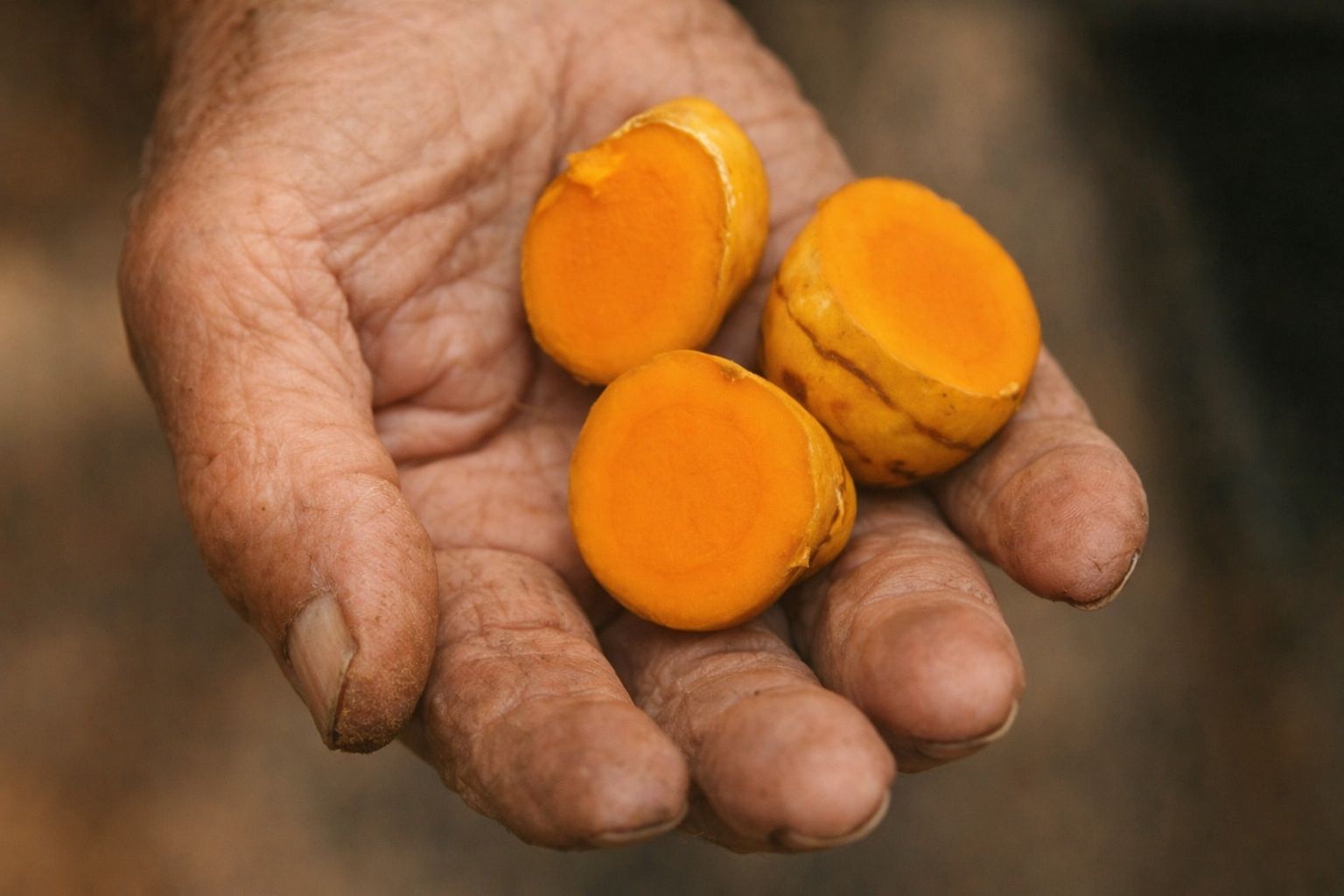 Natural botanical ingredients commonly found in nerve health supplements